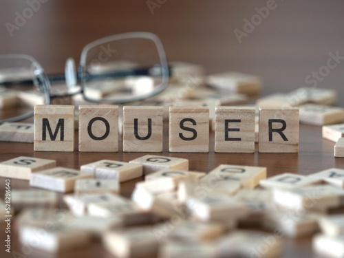 Photography mouser word or concept represented by wooden letter tiles on a wooden table with