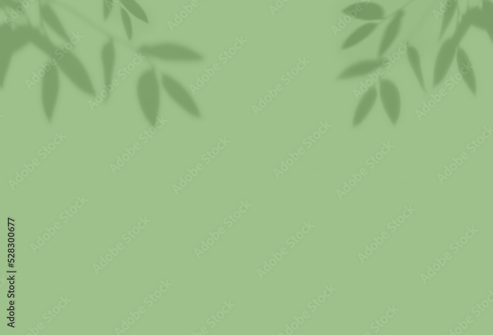 Obraz premium Natural leaf shadows are blurred on the light green pastel color background.