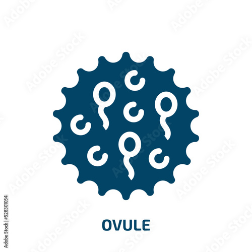 ovule vector icon. ovule, pregnancy, ovulation filled icons from flat biology technology concept. Isolated black glyph icon, vector illustration symbol element for web design and mobile apps