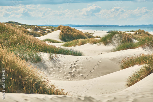 Fototapeta Naklejka Na Ścianę i Meble -  Dunes at the beach of the Jammerbugt in northern Denmark. High quality photo
