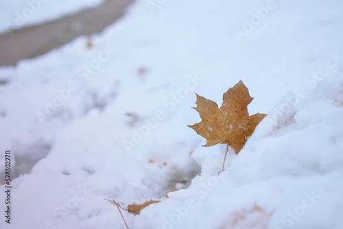Panel kuchenny z motywem zima jesień pory roku