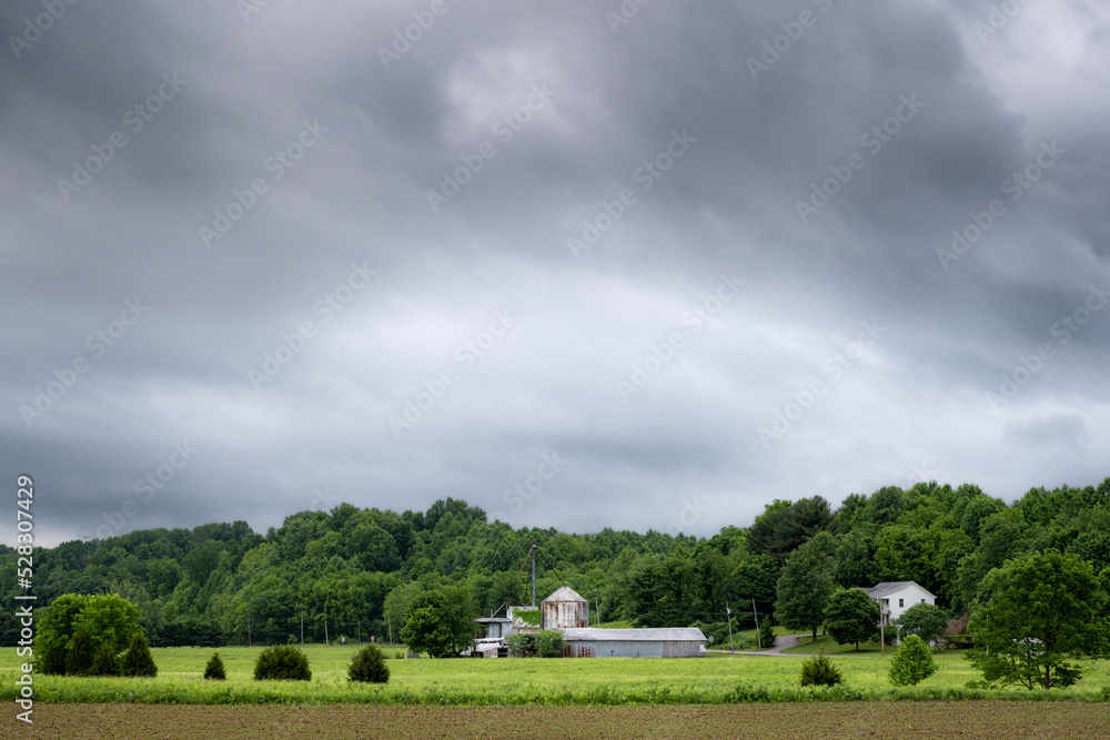 A farm in Indiana on a rainy and cloudy day. The image is mostly greens and greys A farm in Indiana on a rainy and cloudy day. The image is mostly greens and greys