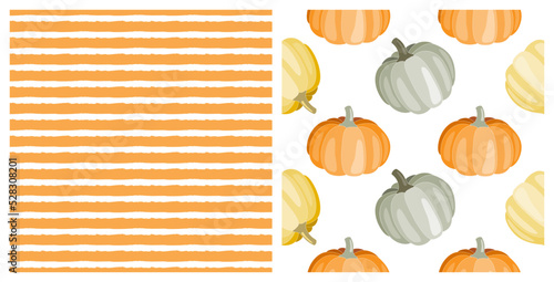 Set of two seamless patterns with cute hand drawn Autumn pumpkins and orange stripes, on isolated white  Background for Thanksgiving, Halloween, Harvest celebration, textiles, wall paper, scrapbooking