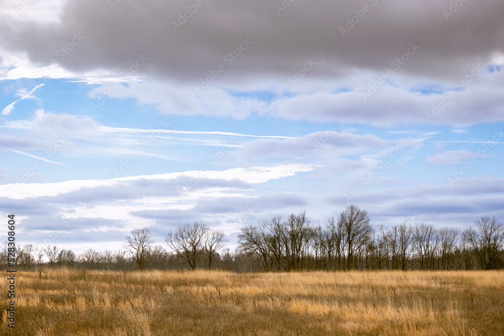 An golden yellow field in the winter in Muscatatuck National Wildlife Refuge in Indiana. The sky is partly cloudy with drama and some blue sky