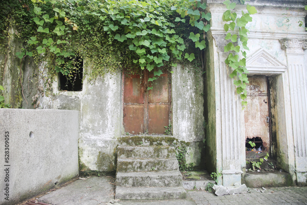 Abandoned old house with ivy Abandoned old house with ivy