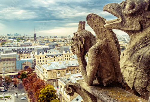 Fotografia Gargoyle on Notre Dame de Paris Cathedral, France