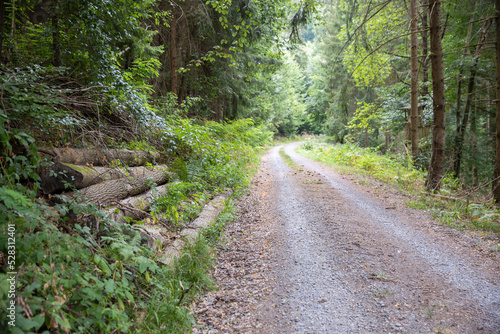 Gravel dirt road with wooden logs in the forest