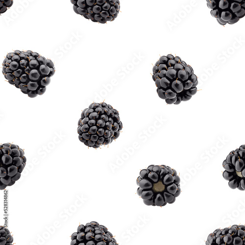 Blackberry isolated on white background, SEAMLESS, PATTERN