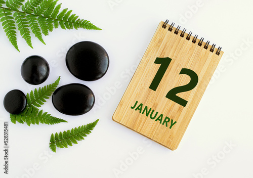 January 12. 12th day of the month, calendar date. Notepad, black stones, green leaves. Winter month, the concept of the day of year