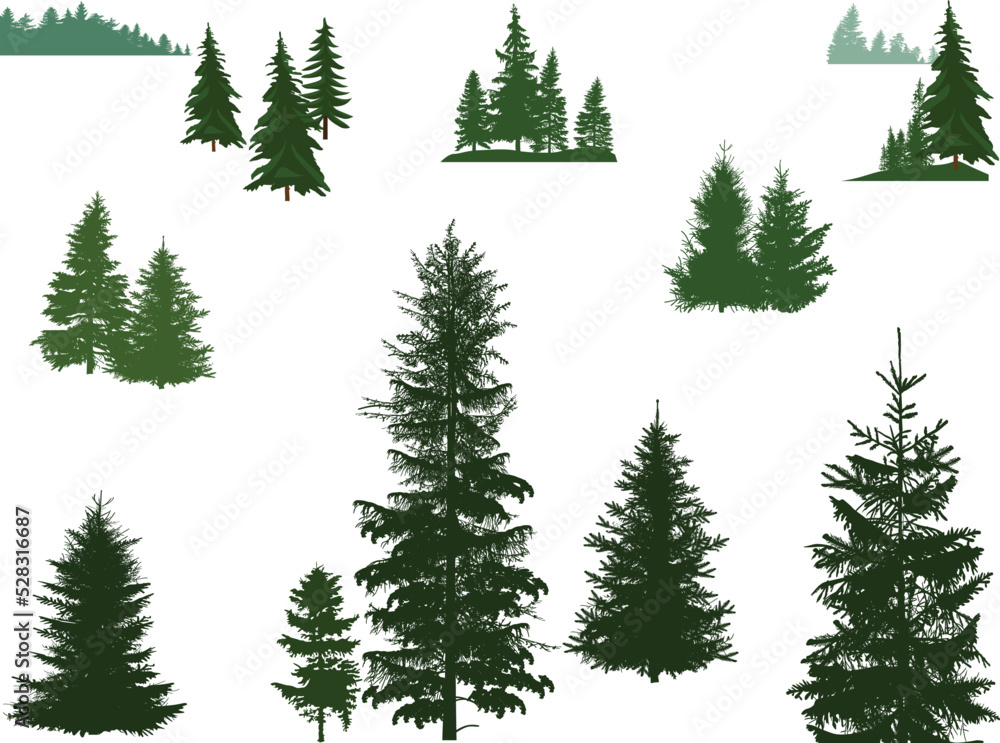 Fototapeta premium set of firs dark and green trees