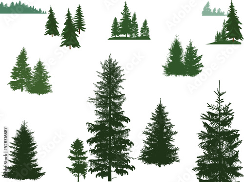 set of firs dark and green trees