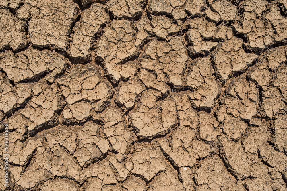 Fototapeta premium Closeup cracked earth with dry soil