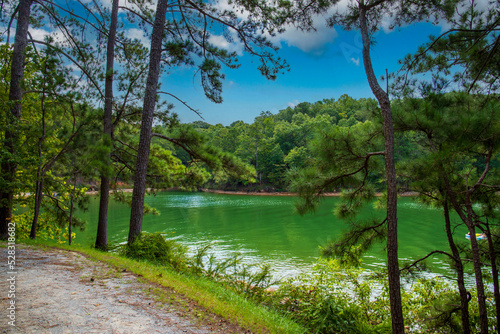 a gorgeous summer landscape at Lake Allatoona with silky green water surrounded by lush green trees, grass and plants with blue sky and clouds at Red Top Mountain State Park in Acworth Georgia USA photo