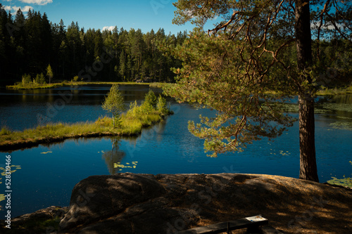 Fototapeta Naklejka Na Ścianę i Meble -  National Park in Finland Nuuksio -a journey in the greenery landscape of photos. Trees, forest, vegetation, lakes, ecoclimate, ecosystem