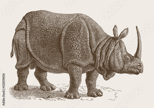 Threatened Indian rhinoceros unicornis in side view. Illustration after antique engraving from 19th century