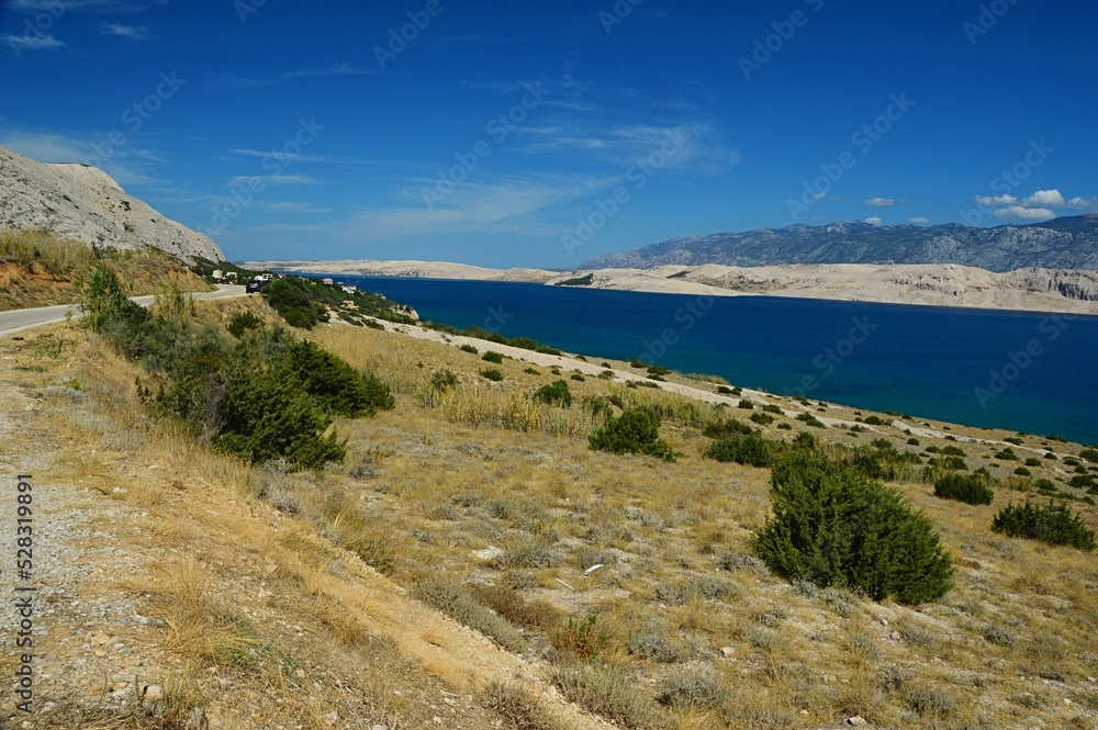 Arid shoreline with some durable shrubs and grass near Sveta Maria beach on Pag island, northern Dalmatia, Croatia, Adriatic. Sunny august day with some scattered clouds. Velebit mountain in distance.