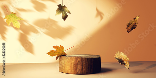 Autumn leaves with a round wooden podium - 3D render