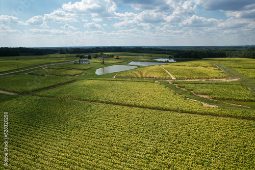 North Carolina Country Side 9