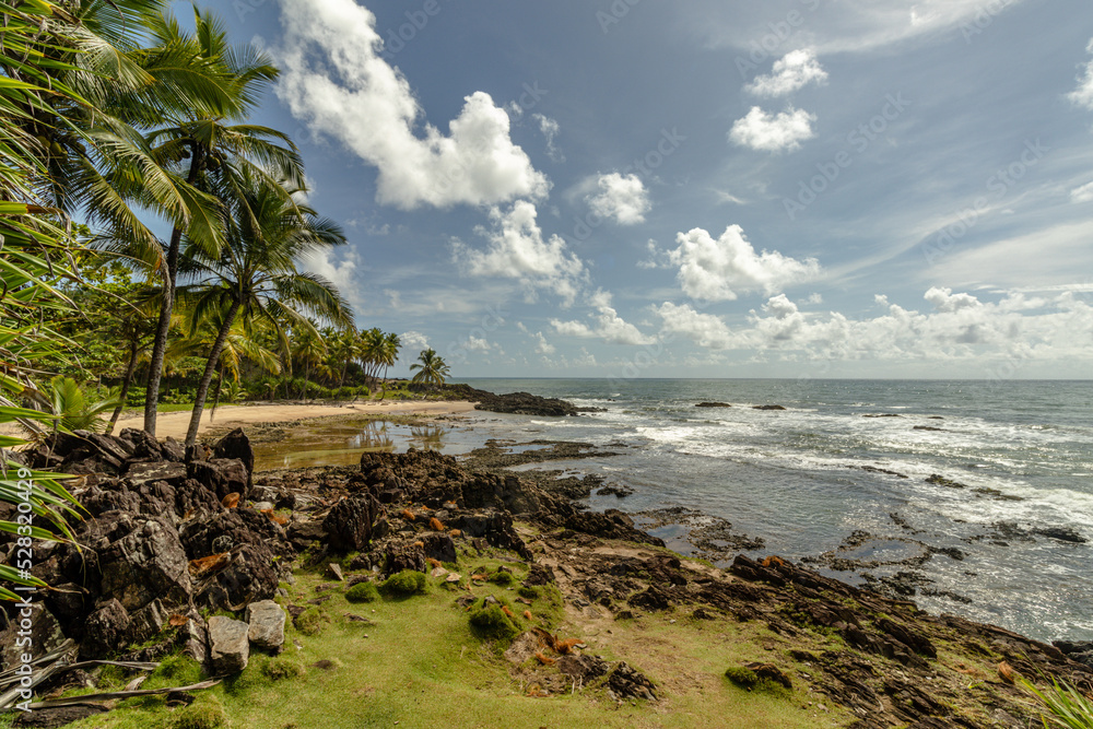 beach in the city of Itacare, State of Bahia, Brazil beach in the city of Itacare, State of Bahia, Brazil