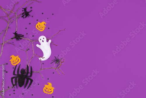 Halloween decorations pumpkins spiders with black confetti on violet background.