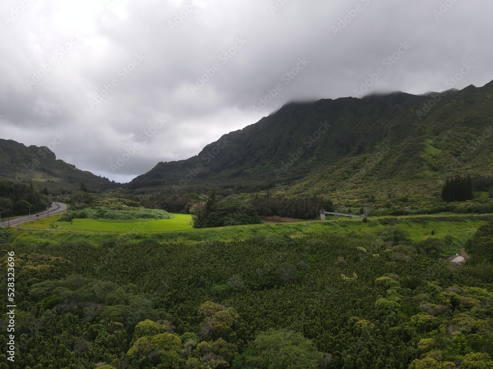 Fototapeta premium default