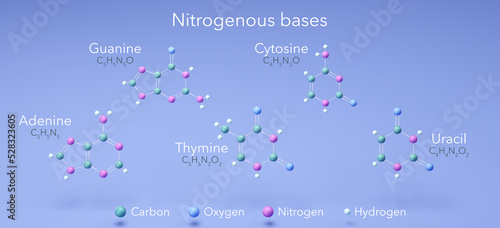 Foto nitrogenous bases, adenine, guanine, cytosine, thymine, uracil, molecular struct