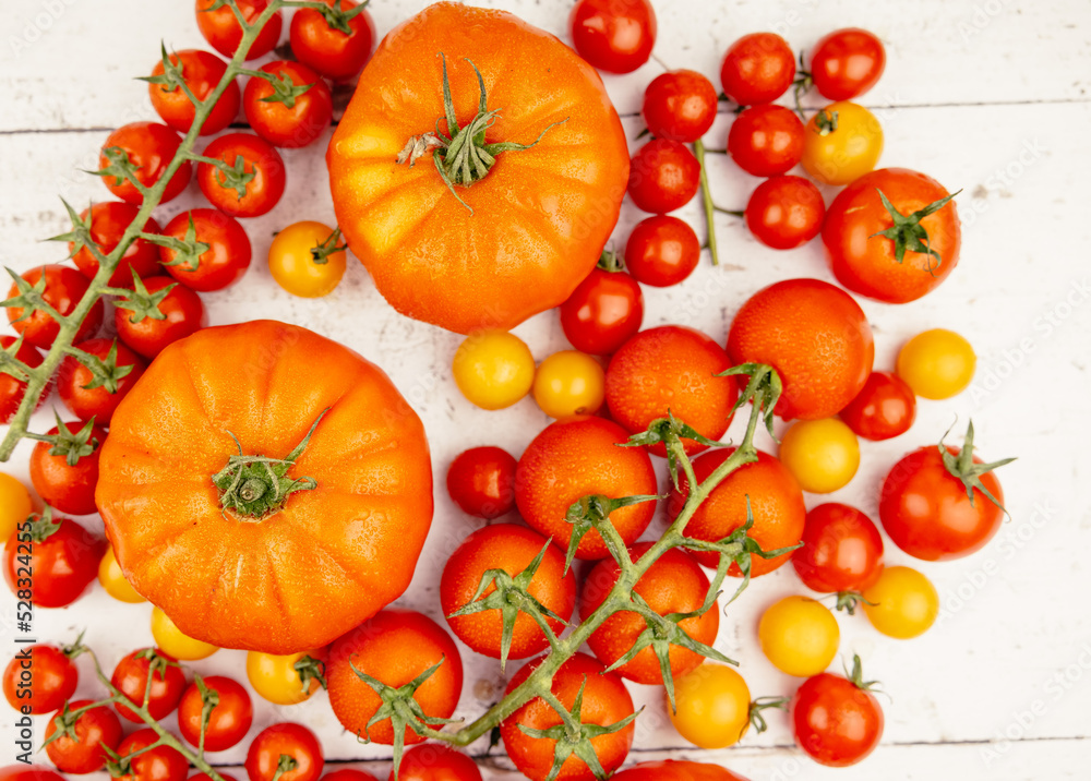 Fototapeta premium tomatoes on a vine