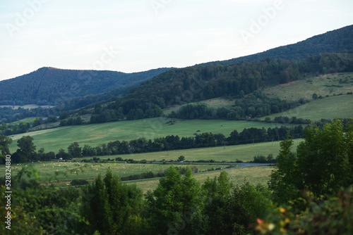 Landscape with meadows and forests during evening sun.Summer season.