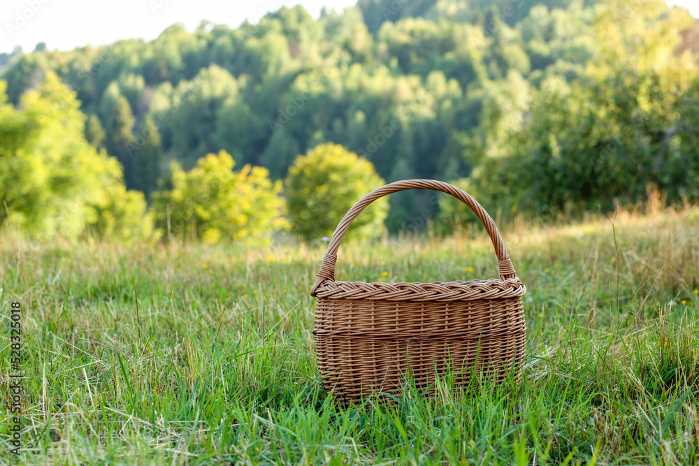 Wicker basket on the green meadow.Sunny day in the summer. Wicker basket on the green meadow.Sunny day in the summer.