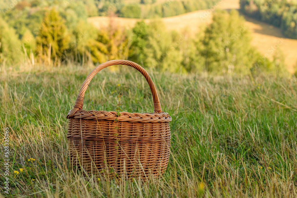 Wicker basket on the green meadow.Sunny day in the summer. Wicker basket on the green meadow.Sunny day in the summer.