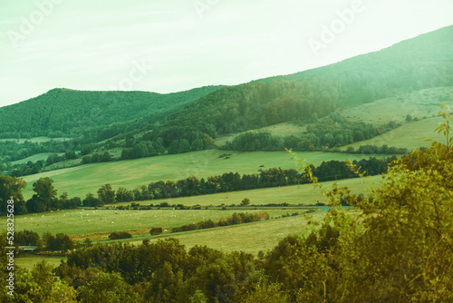 Landscape with meadows and forests during evening sun.Summer season.