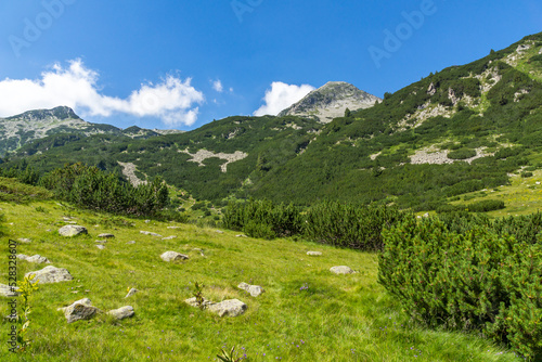 Summer landscape of Pirin Mountain near Banderitsa River, Bulgaria