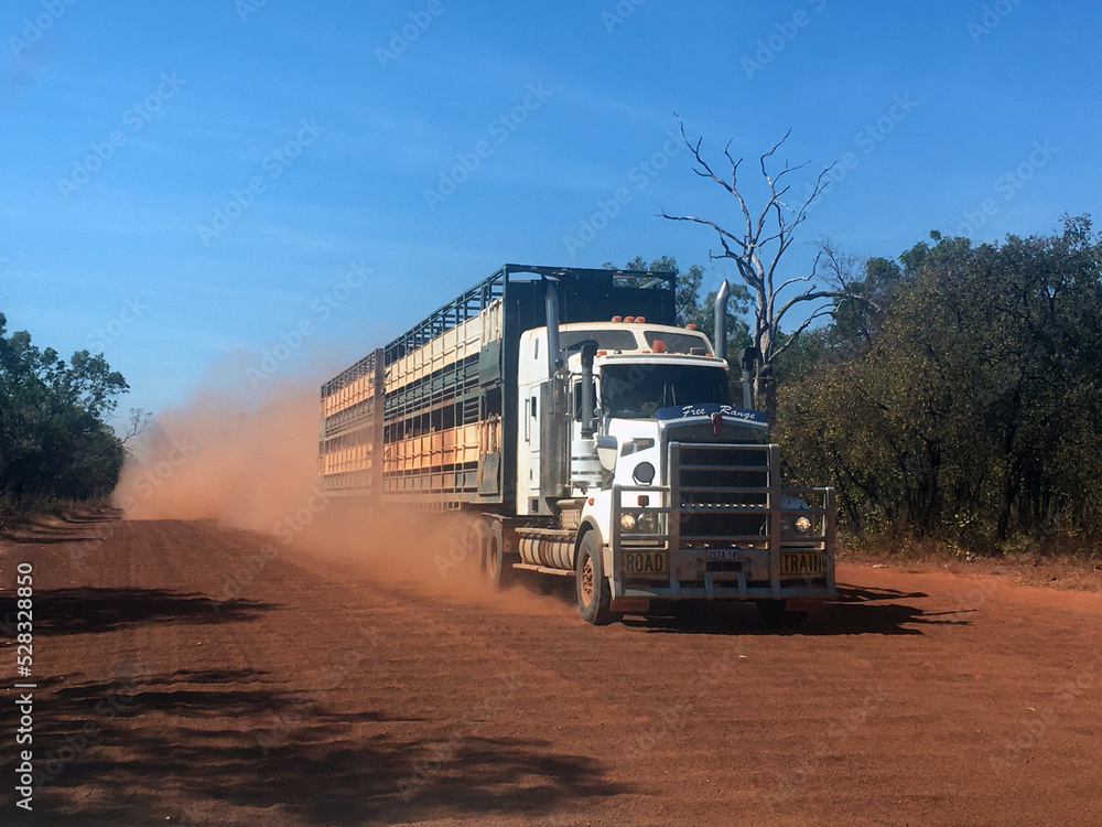 Cattle road train on the Gibb river road in the Kimberley region Western Australia Cattle road train on the Gibb river road in the Kimberley region Western Australia