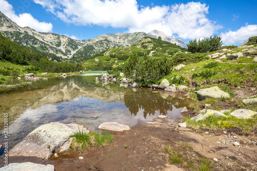 Summer landscape of Pirin Mountain near Banderitsa River, Bulgaria
