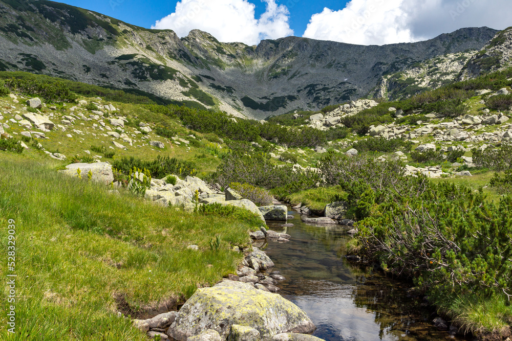 Summer landscape of Pirin Mountain near Banderitsa River, Bulgaria Summer landscape of Pirin Mountain near Banderitsa River, Bulgaria