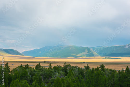 Dramatic view from forest to high mountain range in sunlight during rain in changeable weather. Colorful landscape with green forest and sunlit steppe against large mountains under cloudy sky in rain.