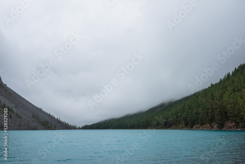 Dramatic meditate landscape with ripples on big azure mountain lake against pointy firs silhouettes in low clouds. Tranquil view to cyan alpine lake and peaked tops of spruces in low cloudy gray sky.