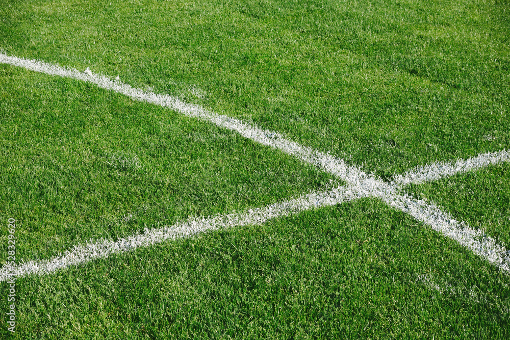 High angle view of Soccer field with white painted lines