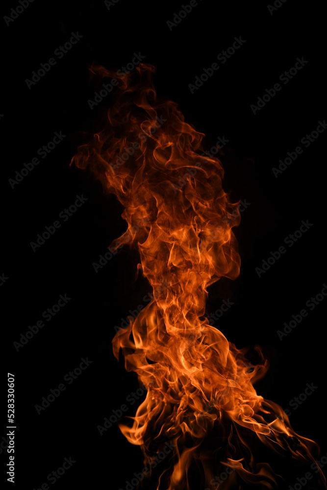 The fire, burning flame. Large burning flaming fire. The fire, burning flame. Large burning flaming fire.