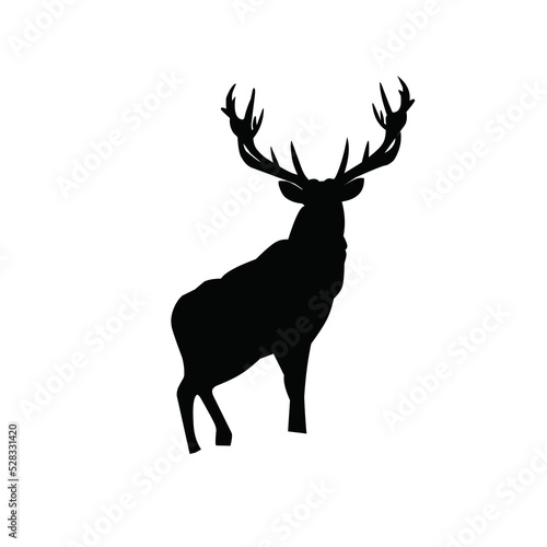 Black silhouette of the buck on the white background  simple vector illustration