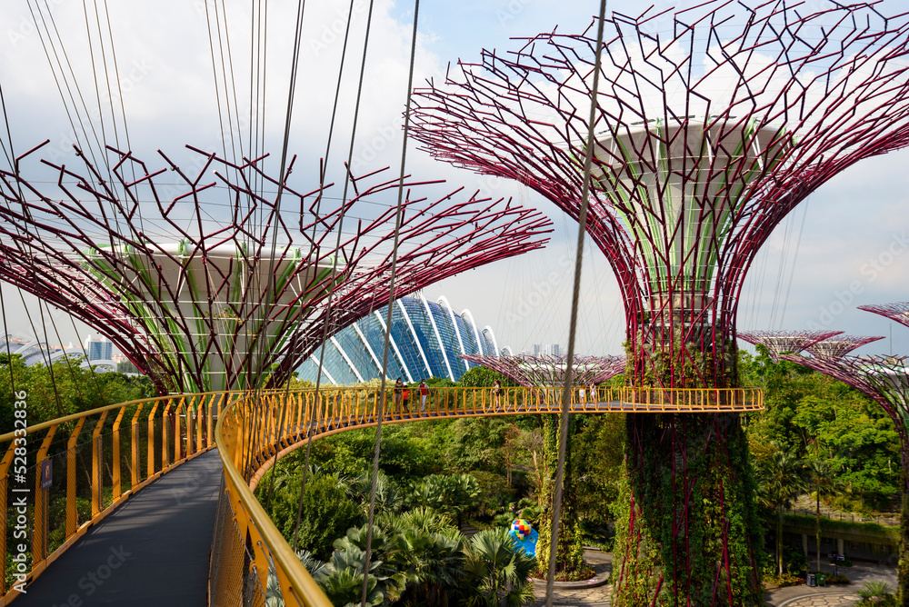 Fototapeta Supertree Grove - Gardens by the Bay, Singapore