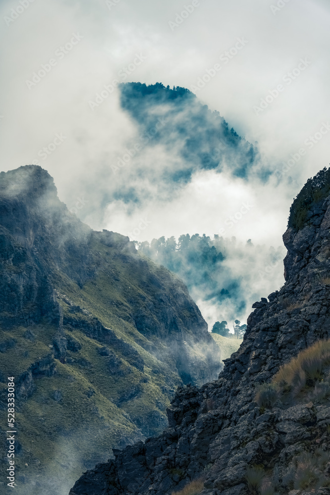 Fog in the mountains Fog in the mountains