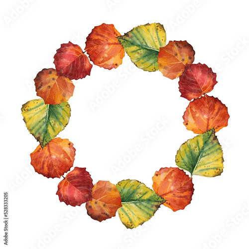 Autumn bouquet. Circle frame with copy space. Watercolor hand-drawn red green orange leaves wreath isolated on white background. Forest nature plant foliage. Clipart for halloween sticker, wallpaper