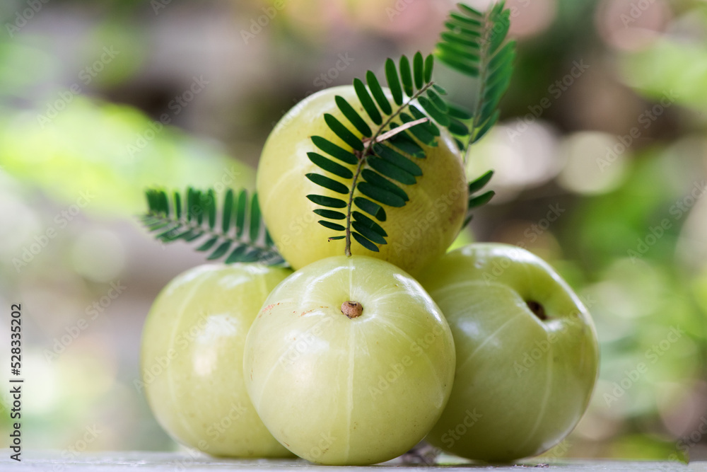 Indian Gooseberry or phyllanthus emblica fruits on nature background
