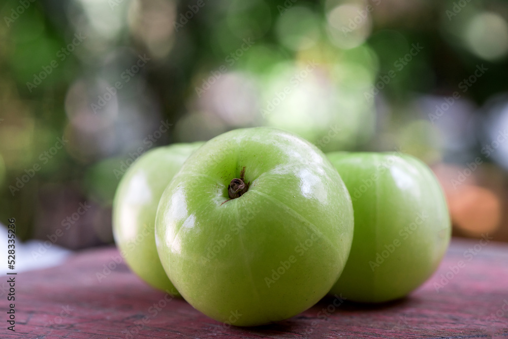 Indian Gooseberry or phyllanthus emblica fruits on nature background