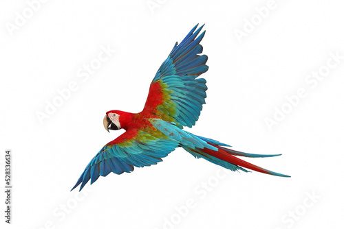 Colorful macaw parrot flying isolated on white background. © Passakorn
