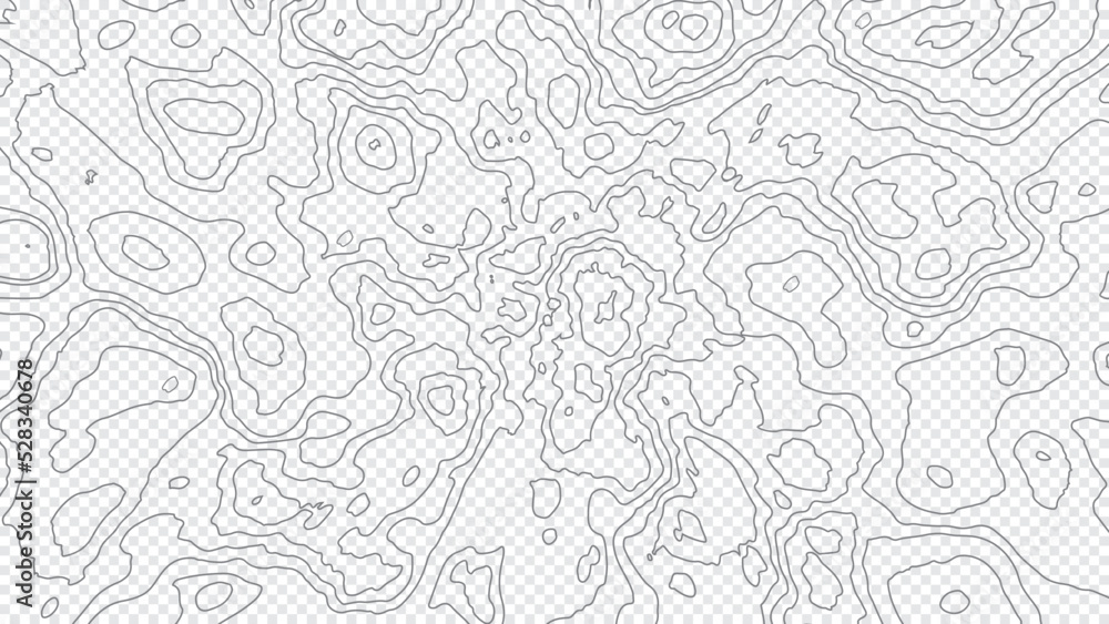 Topographic map background. Line topography map contour background, geographic grid. Transparent topography contour line map. Abstract vector illustration.