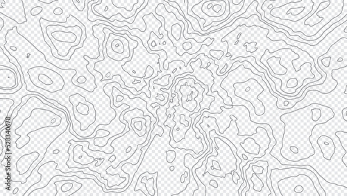 Topographic map background. Line topography map contour background  geographic grid. Transparent topography contour line map. Abstract vector illustration.