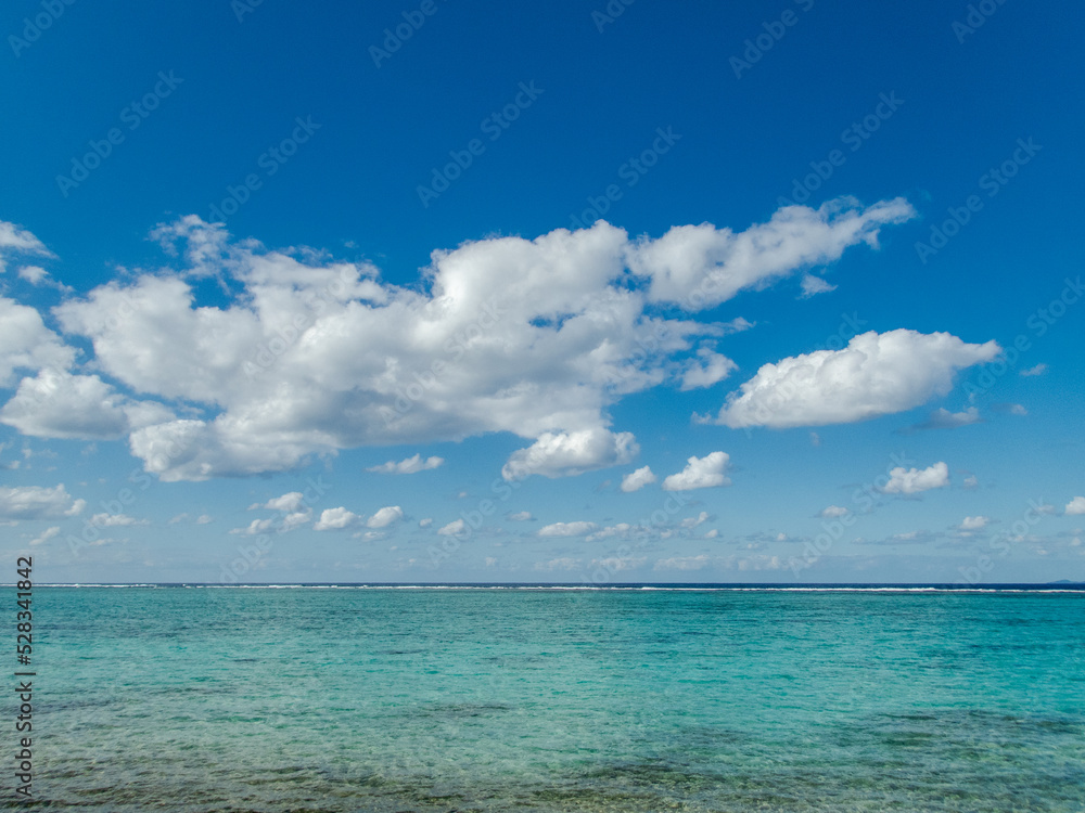 Obraz premium 晴れた夏の沖縄県北部の透けた綺麗な珊瑚礁の海