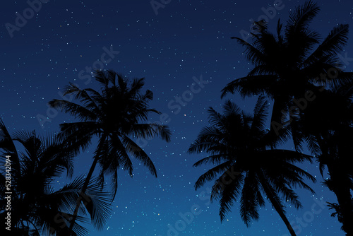 Palm tree silhouette on starry night